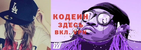 ешки Иннополис