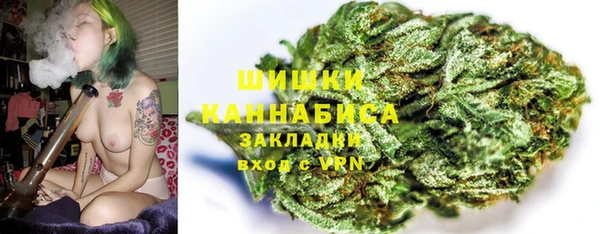 а пвп мука Инсар