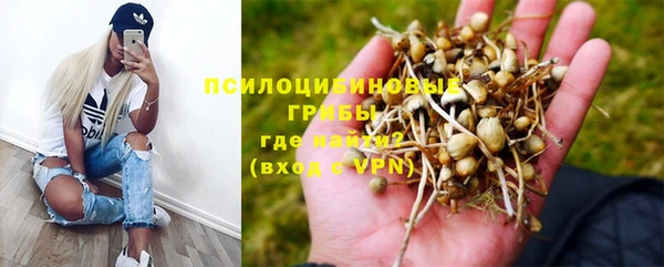 дживик Каменск-Шахтинский