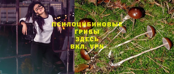 ешки Иннополис