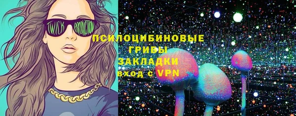 а пвп мука Инсар