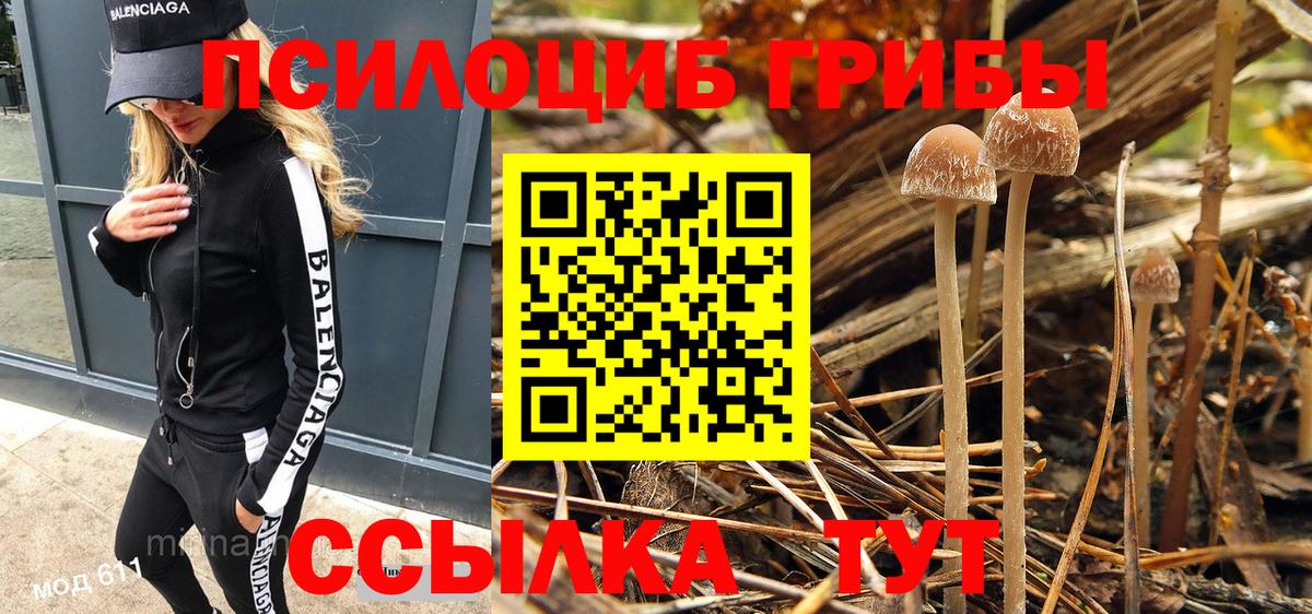 Псилоцибиновые грибы Magic Shrooms  Вход с VPN  Псилоцибиновые грибы GOLDEN TEACHER  Мурманск 