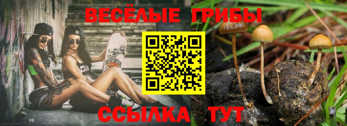Галлюциногенные грибы мухоморы Мурманск