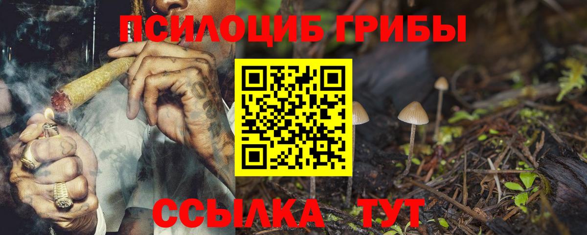 CBD масло  Хэш  Сколько стоит  Канабис  Мурманск  Меф  Вход с VPN 
