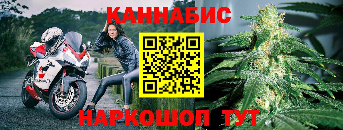 Канабис конопля Мурманск